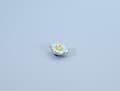 Polini water bottle cap Thor 250 lc